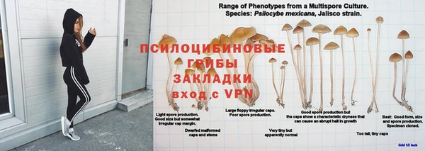 jwh Богданович