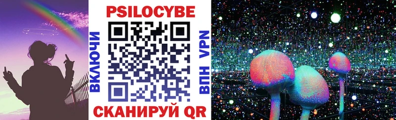 Купить где  Осинники  Псилоцибиновые грибы GOLDEN TEACHER 